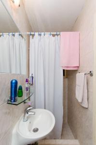 ein Bad mit einem Waschbecken und einem Duschvorhang in der Unterkunft House Renato in Ivan Dolac