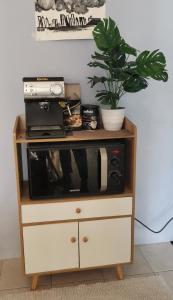 a microwave and a plant on top of a cabinet at 5M cozy Homestay Bukit Mahkota Kajang in Kajang