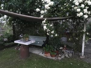 Zahrada ubytování B&B Bland ormbunkar och rosor