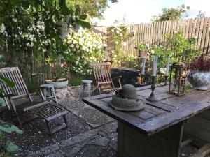 Zahrada ubytování B&B Bland ormbunkar och rosor