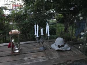 Zahrada ubytování B&B Bland ormbunkar och rosor