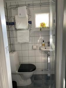 Koupelna v ubytování B&B Bland ormbunkar och rosor