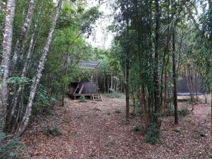 Gallery image of Cabañas Raices del Puma in Panguipulli