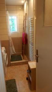 ein Bad mit einer Dusche, einem Waschbecken und einem WC in der Unterkunft Les Floralies bis in Pau