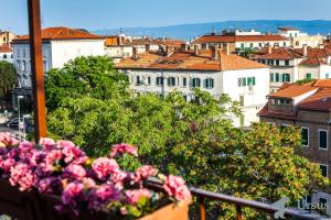 a pot of flowers on a balcony with a city at Apartment Janjiš in Split