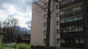 a tall white building with a tree next to it at Apartament Krupówki Center in Zakopane