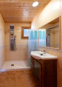 uma casa de banho com um lavatório, um chuveiro e um espelho. em ALEDORURAL em Aledo