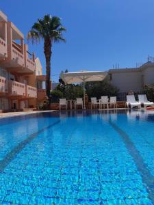 a large swimming pool with chairs and a palm tree at Toulipa Rooms in Agia Ermioni