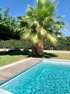una palmera y una piscina junto a una palmera en Atelier des Vidaux en Saint-Aunès