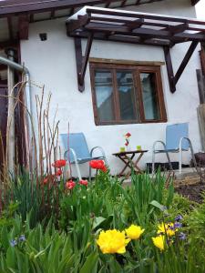 two chairs and a table in front of a house at GrandPa's Room in Sighişoara