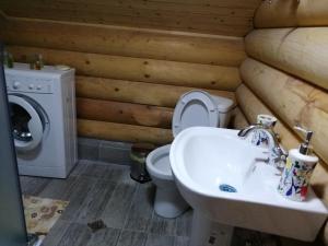 a bathroom with a toilet and a sink and a washing machine at Cottage house Niniela in Batumi