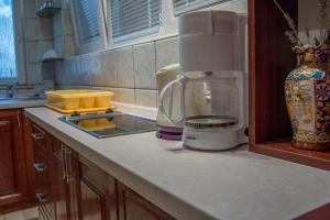 Kuchyň nebo kuchyňský kout v ubytování Apartments RUZA