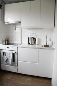 Kuchyň nebo kuchyňský kout v ubytování Mia Kiviõli Apartment
