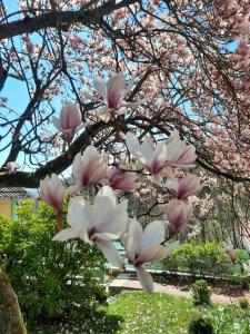 Fotografie z fotogalerie ubytování Rottgarten v destinaci Gelnhausen