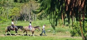 Hosté ubytování Hotel Fazenda Castelo Santa Clara