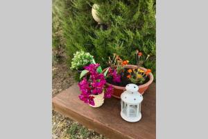 a flower pot sitting on a table with flowers at Agriturismo Il Salicchio app.Benedetta in Pian dʼAlma