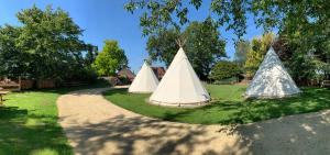 un groupe de trois tentes assises dans l'herbe dans l'établissement Domaine de Carnin, à Beloeil