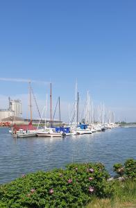 Une bande de bateaux amarrés dans un port dans l'établissement Hotel Garni Haus Dithmarschen, à Elpersbüttel