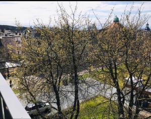 Príroda v okolí apartmánu