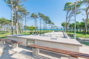 a row of benches in a park with trees at Apartments Green Street in Batalaži