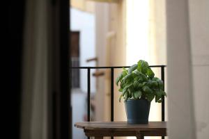 Fotografia z galérie ubytovania Turna Apartment v destinácii Cefalù