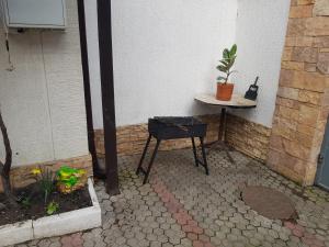 a patio with a table and a plant on a table at Guest house Norilchanka in Gelendzhik