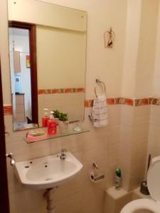 a bathroom with a sink and a toilet and a mirror at Budget Studio Apartment - with Fast Wifi and Netflix in Nairobi