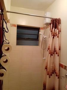 a bathroom with a shower curtain and a window at Budget Studio Apartment - with Fast Wifi and Netflix in Nairobi
