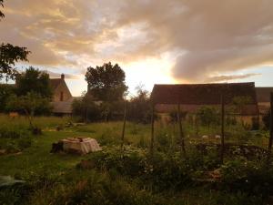 a field with a table in the grass at Le Clos de la Canardière in Savigny-sur-Braye