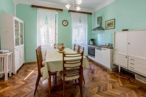 Kuchyň nebo kuchyňský kout v ubytování Villa Drago