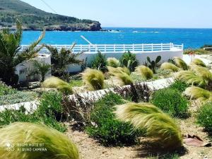 a garden with plants and the ocean in the background at Sunset Studios & Rooms in Antiparos