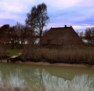 Příroda nedaleko hotelu