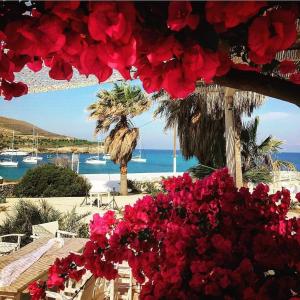a bunch of red flowers on a patio with the ocean at Sunset Studios & Rooms in Antiparos