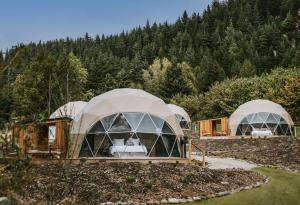two domes in a field with trees in the background at Cross Hill Glamping in Lake Hāwea