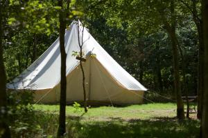 South BarrowDGG Woodland Escape的相册照片