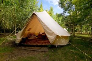 South BarrowDGG Woodland Escape的相册照片