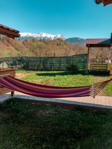 a hammock on a patio with mountains in the background at Cabanute Luca Ama Bran in Bran