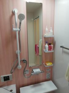 a bathroom with a shower and a mirror at 民泊マエダハウス B&B Maeda House in Aira
