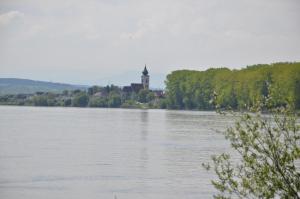 Przyroda w pobliżu tego motelu