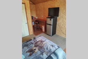 ein Wohnzimmer mit einem Kühlschrank und einem TV in der Unterkunft Tiny Cabin at the DonkeyRanch in Medicine Park
