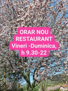 OrlatにあるPensiune Marginimea Sibiuluiの花の木前のピンクの看板