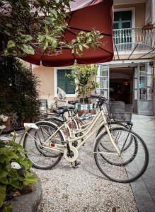 Jízda na kole v ubytování Hotel Miranda nebo okolí