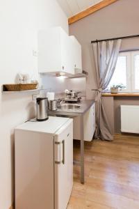 Kuchyňa alebo kuchynka v ubytovaní Karolinka Guest House + 33 fotografií