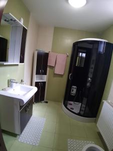 a bathroom with a shower and a sink and a shower at Casa de vacanta Sabrina in Gura Humorului +46 photos