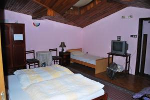 TV a/nebo společenská místnost v ubytování Guest House Gaja