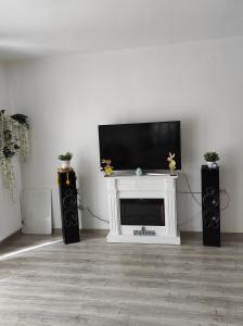 a living room with a television and a fireplace at Happy Home in Călimăneşti