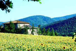 a house in the middle of a field of sunflowers at Agriturismo Montioni in Sovicille