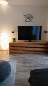 TV a/nebo společenská místnost v ubytování Hoamatl, Appartement