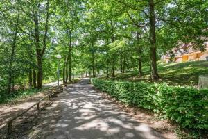 O grădină în afara Wellholidays 19 - studio balnéo et terrasse piscine