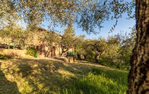 un antiguo edificio con árboles en primer plano en Casetta Maduneta immersa in un oliveto en Dolceacqua